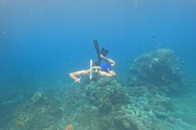 Nusa-Penida customize Tour - All inclusive - Lunch on Penida: what’s included and how to plan around it
