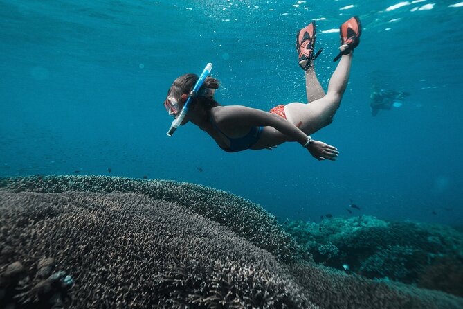 Nusa Penida day trip: boat, 4 snorkeling, Manta rays & Land tour - Kelingking Beach View Time: Car Transfer, Iconic Photos, and Heat Reality