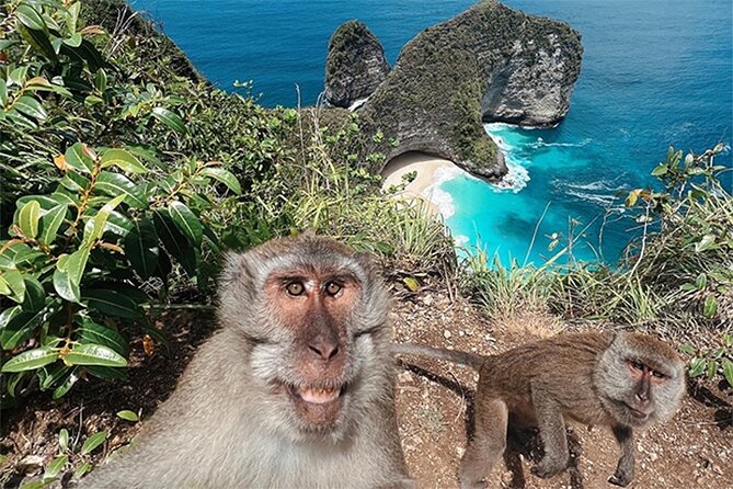 Nusa Penida day trip: boat, 4 snorkeling, Manta rays & Land tour - Lunch on Nusa Penida: Infinity Pool Views and a Real Break
