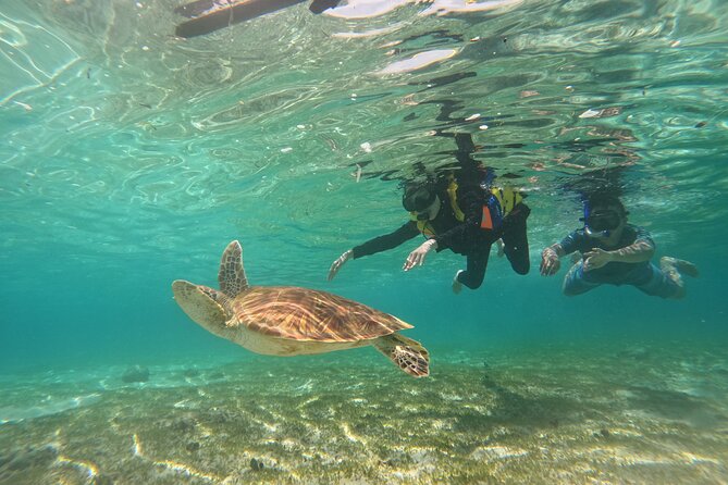 Nusa Penida & Gili Trawangan 3Days 2Night (Snorkeling) - Food and stay: breakfast, lunch, and a 2-night ensuite bungalow