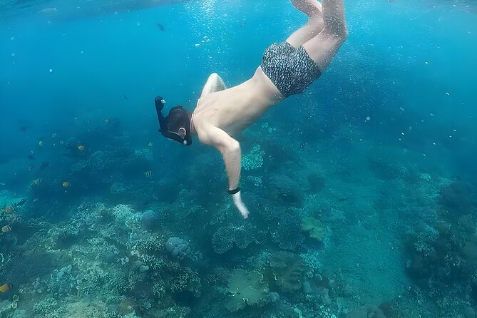 Nusa Penida Island Beach Tour With Snorkeling - Departure From Bali Island - Timing, Crowds, and Short Stops: What Feels Fast on Purpose