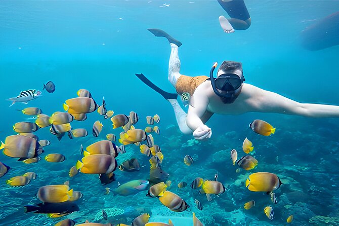 Nusa Penida Island Beach Tour With Snorkeling - Departure From Bali Island - Which Travelers Should Book This One