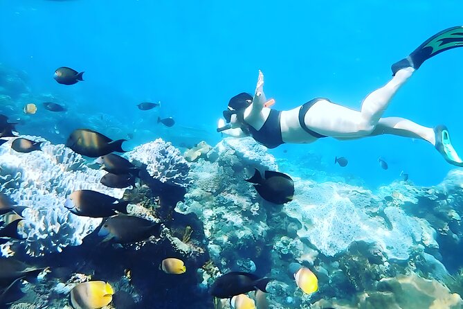 Nusa Penida Island Beach Tour With Snorkeling - Departure From Bali Island - Snorkeling at Gamat Bay, Manta Bay, and Crystal Bay