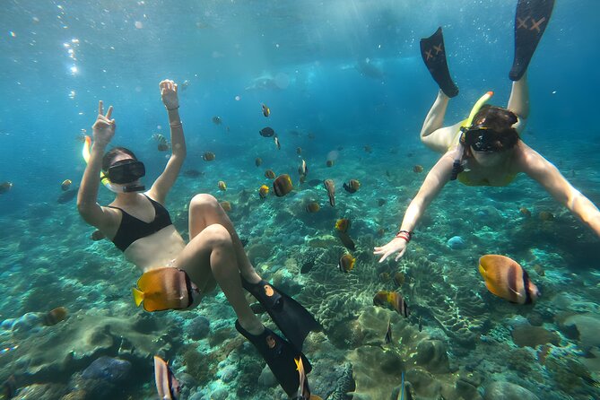 Nusa Penida Island Beach Tours with Snorkeling From Bali - Penida West Coast, The Real Reason to Book a One-Day Plan