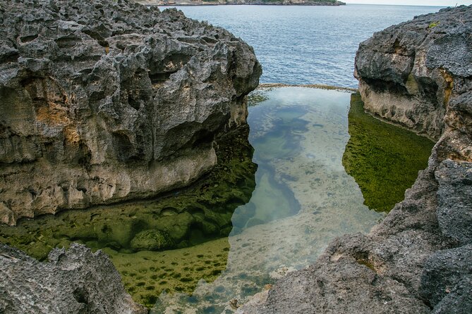 Nusa Penida One Day Trip to Instagrammable Spot by Penidago - Why This Nusa Penida Day Trip Feels Efficient (Without Feeling Rushed)