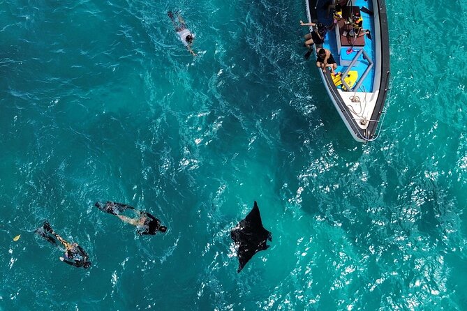 Nusa Penida Private Snorkeling and West Tour Start from Bali - Key things I’d plan around