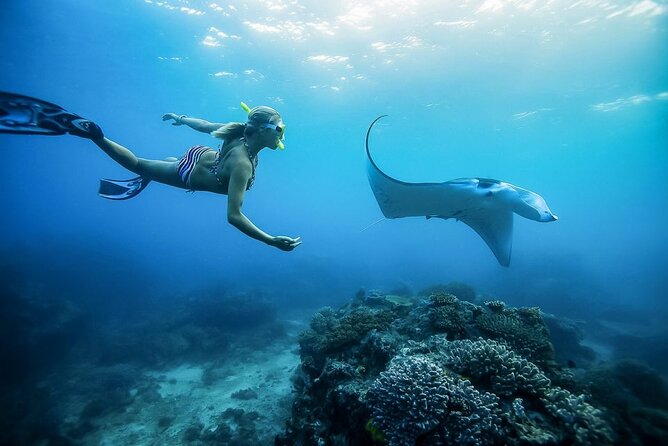 Nusa Penida Private Snorkeling and West Tour Start from Bali - How the 10 to 12 Hour Day Flows (and Why It Works)