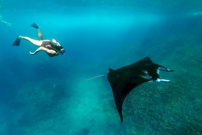 Nusa Penida Snorkeling 3 Point with Manta Bay & Land Tour - Three Snorkeling Stops: Manta Bay, Gamat Bay, and Crystal Bay