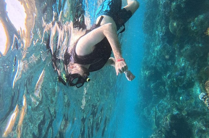 Nusa Penida Snorkeling at Manta Bay and Land Tour (inclusive) - Price and value at about $52.93: what you are really paying for