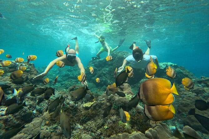 Nusa Penida : Snorkeling Trip Manta Point, Gamat Bay and Wall Bay - Meeting in Toyapakeh at 8:00 AM: Simple Logistics, Real Time