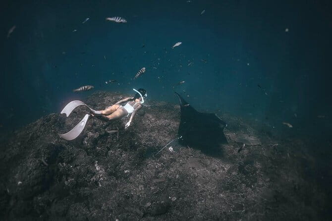 Nusa Penida : Snorkeling Trip Manta Point, Gamat Bay and Wall Bay - Stop 2: Gamat Bay for Coral Gardens and Fish Time
