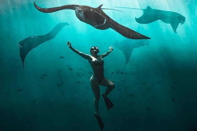 Nusa Penida : Snorkeling Trip Manta Point, Gamat Bay and Wall Bay - Who This Trip Suits Best (And Who Might Want a Different Plan)