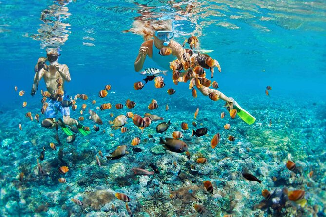 Nusa Penida Snorkeling with Manta Bay and Land Tour - How the Day Works From Bali: 6:30 Pickup to About 6:00 Return