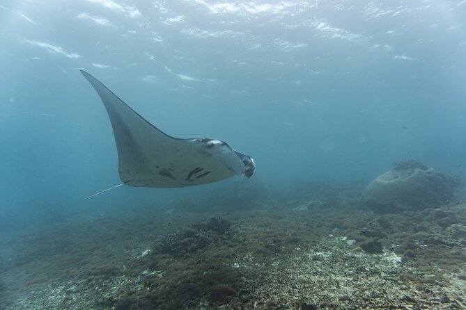 Nusa Penida Snorkeling with Manta Bay and Land Tour - Shower, Lunch, and Comfort Between Water and Roads