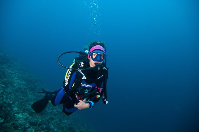 Nusa Penida Three Dives Trip for Certified Divers - Should you book the Pure Dive Resort three-session Nusa Penida trip?