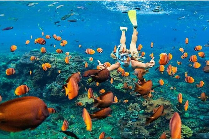 Nusa Penida Trip with Snorkeling all-Inclusive - Key highlights to know before you go