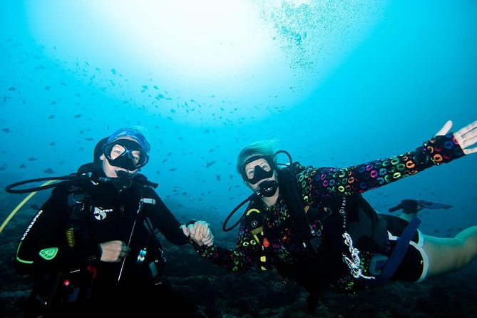 Nusa Penida Try Scuba Diving Program - for Non-Certified Divers - Quick take: what makes this try-scuba feel safe