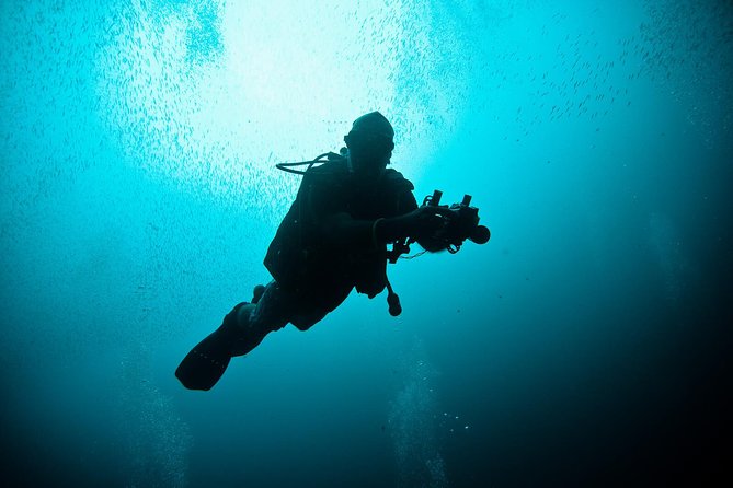 Nusa Penida Two Dives Trip for Certified Divers - Key highlights worth planning for