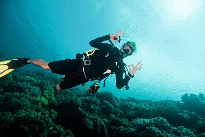 Nusa Penida Two Dives Trip for Certified Divers - Why Nusa Penida fits a two-session scuba day