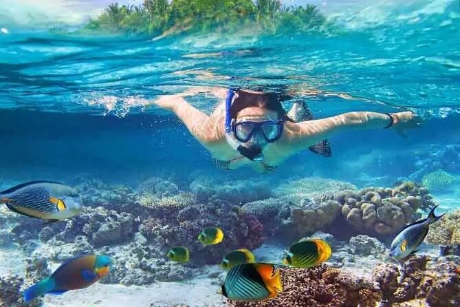 Nusa Penida West trip with snorkeling at 3 spot with Free Meals - Key highlights you should know before you go