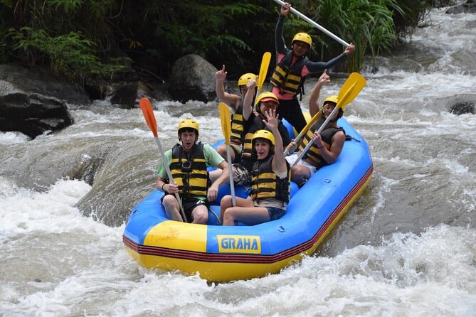 OFFICIAL ATV KUBER - Tunnel, Waterfall, Rice Field, River, Jungle - Price and value: is $45.21 a good deal?