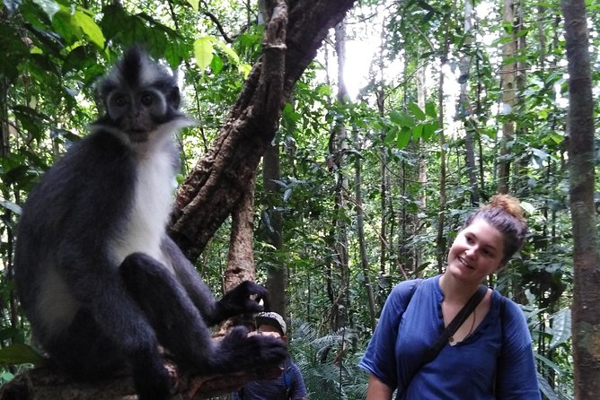 ONE DAY JUNGLE TREKKING 6-7 hours (see orang utan) + RAFTING in BUKIT LAWANG - Who this tour fits best, and who should rethink it