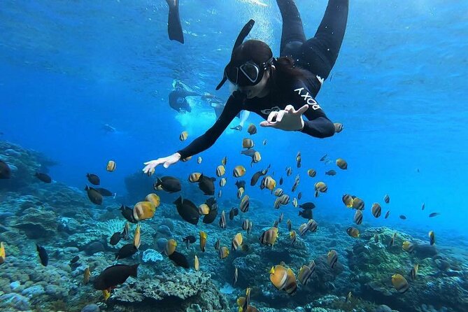 One Day Nusa Penida Island West with Snorkeling - Key Points You’ll Care About