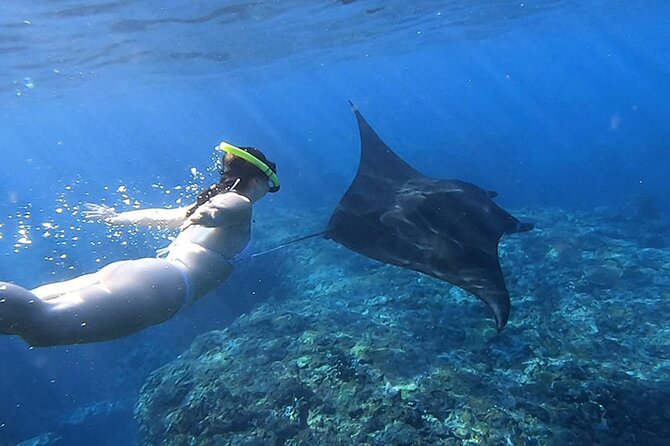 One Day Nusa Penida Island West with Snorkeling - Nusa Penida West in One Day: Why This Route Feels Efficient