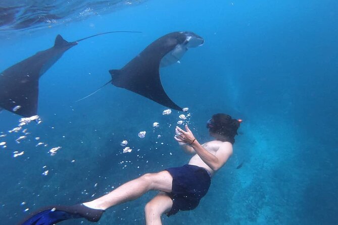 One Day Snorkeling Trip & West Tour Nusa Penida by Penidago - Boat day at Penida waters: Manta Bay, Crystal Bay, Gamat Bay, The Wall, GT Point