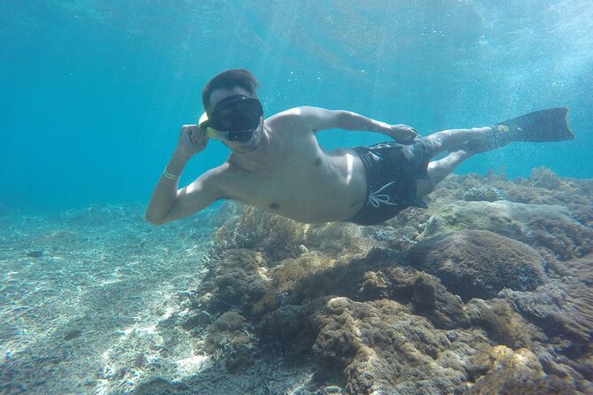 One Day Snorkeling Trip & West Tour Nusa Penida by Penidago - When weather turns: how backup snorkel spots keep your day alive