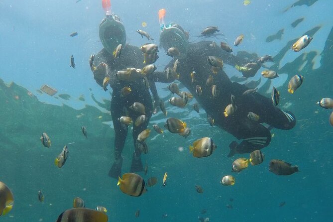 One Day Snorkeling Trip & West Tour Nusa Penida by Penidago - Kelingking Beach viewpoint time: photos, footing, and time awareness