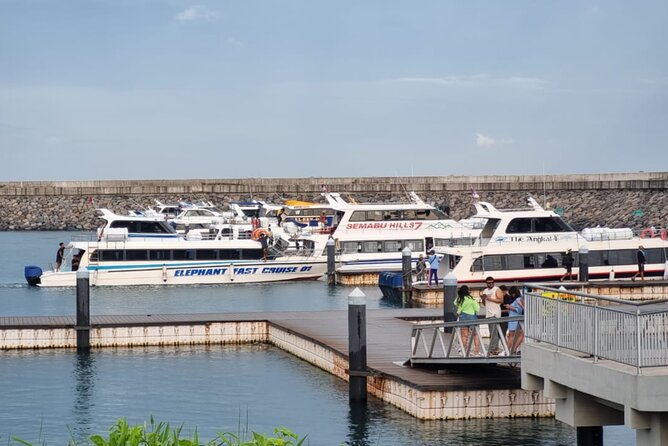 One-way Ticket Fast Boat from Sanur Bali or Nusa Penida - Who this fast boat ticket is best for