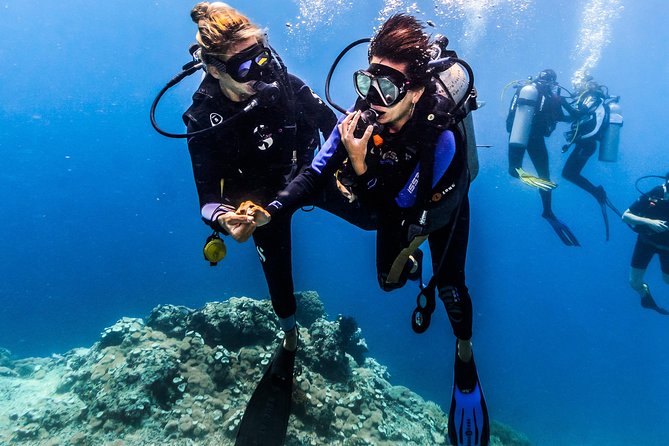 Open Water Course in Nusa Lembongan - Get Certified on remote island (next Bali) - Who This Course Suits Best (and Who Should Think Twice)