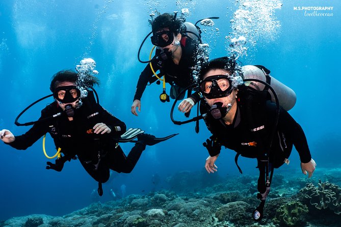 Open Water Course in Pemuteran - Get Certified in Bali - SSI Open Water in Pemuteran: what you’re paying for (and why it matters)