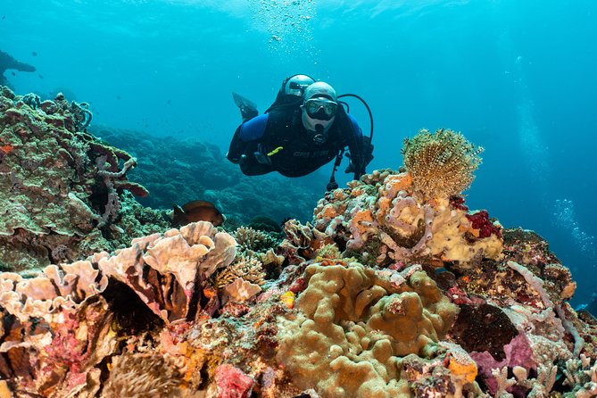 Open Water Course in Pemuteran - Get Certified in Bali - Equipment, facilities, and small comfort wins at the scuba training center
