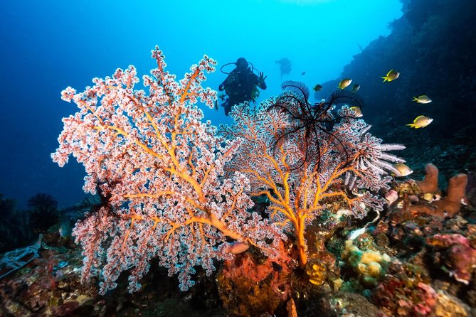 Open Water Course in Tulamben - Get Certified in Bali - Stop 1: USS Liberty Shipwreck, learning among history