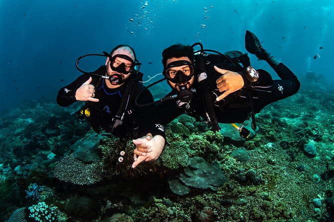 Open Water Course in Tulamben - Get Certified in Bali - What you can dive with after certification (the real goal)