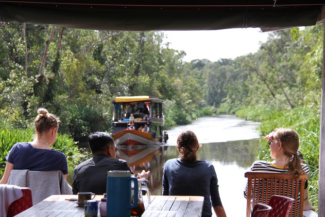 Orangutan Safari Kelotok Houseboat 3 Days 2 Nights Private - Pangkalan Bun pickup, transfers, and your first day on the river