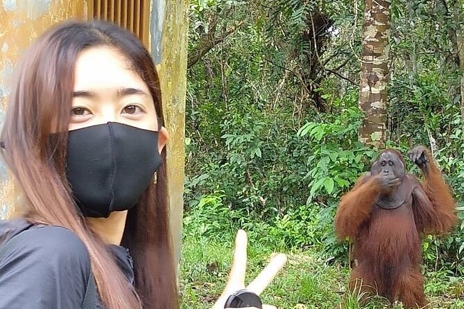 Orangutan Tour Tanjung Puting 2Nights - Key things to know before you go
