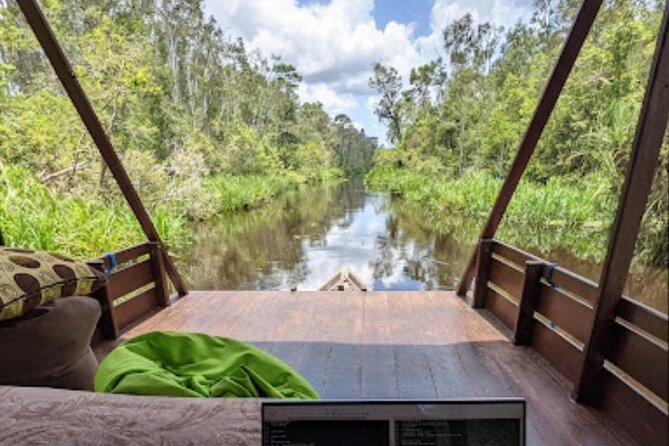 Orangutan Tour Tanjung Puting 2Nights - Wildlife you can actually expect: gibbons, proboscis monkeys, and more