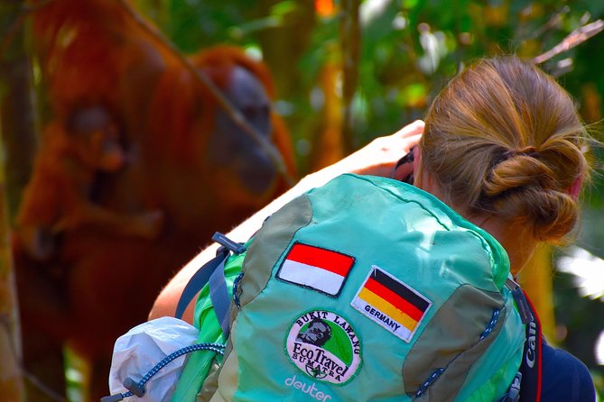 ORANGUTAN TREK (2D/1N) by EcoTravel Bukit Lawang - Why this Bukit Lawang trek feels authentic in Gunung Leuser
