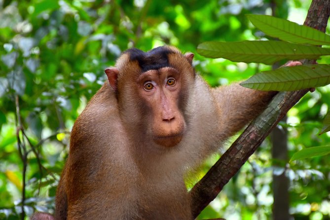 ORANGUTAN TREK (2D/1N) by EcoTravel Bukit Lawang - Day 1 in Gunung Leuser: the 08:30 start and the hike to camp