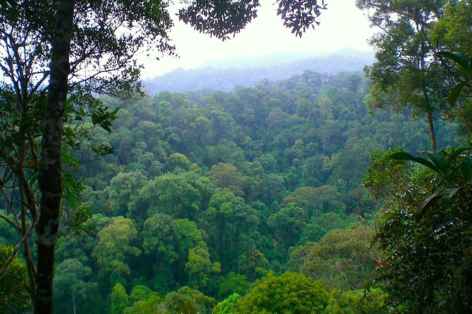 ORANGUTAN TREK (2D/1N) by EcoTravel Bukit Lawang - Camp life by the river: tents, water filter, and sleeping for tomorrow