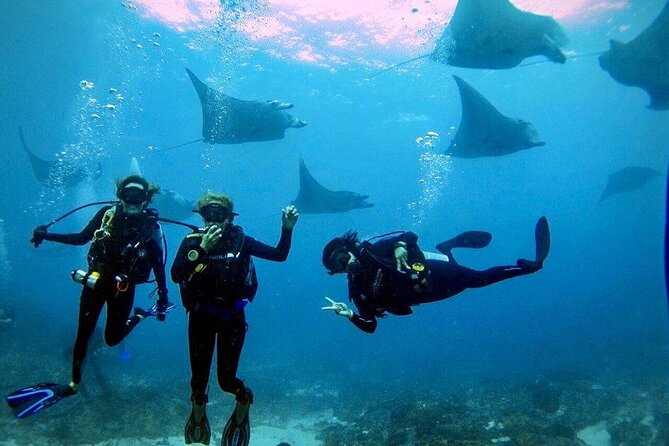 PADI Open water Course in Lembongan - Get certified & dive anywhere in the world - Key points to know before you go