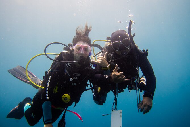 PADI Open water Course in Lembongan - Get certified & dive anywhere in the world - PADI Open Water in Nusa Lembongan, what you’re really signing up for