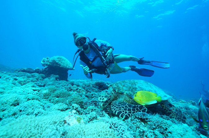 PADI Open water Course in Lembongan - Get certified & dive anywhere in the world - Equipment, support on the boat, and the small-group advantage