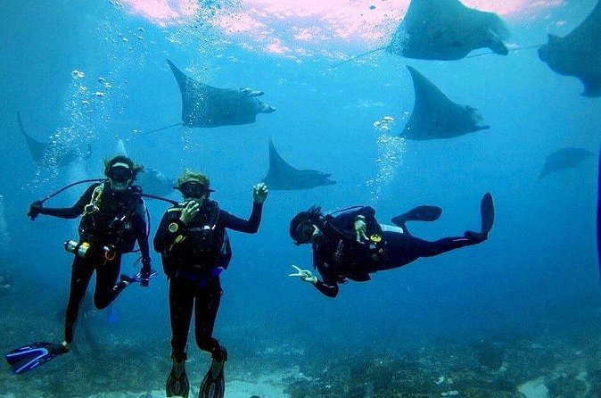 PADI Open water Course in Lembongan - Get certified & dive anywhere in the world - Timing, meeting point, and what your mornings will look like