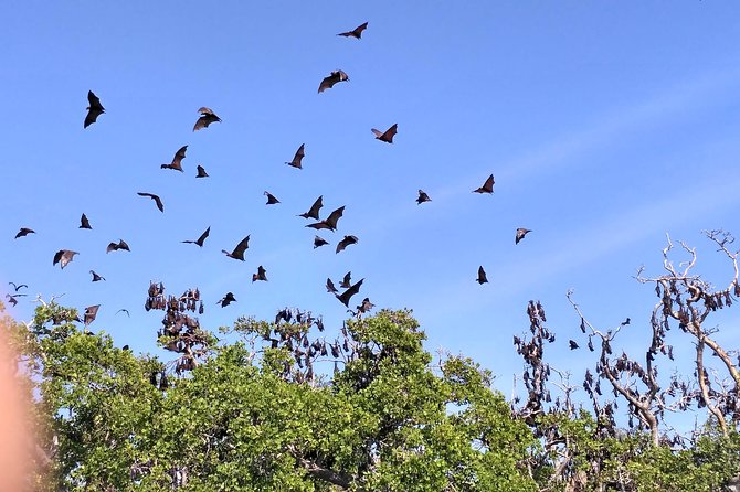 Pauls Flores Tour Labuan Bajo to Ende Flores Land Tour inland by Car 6 Days - Your guide Paul: the difference between seeing Flores and understanding it