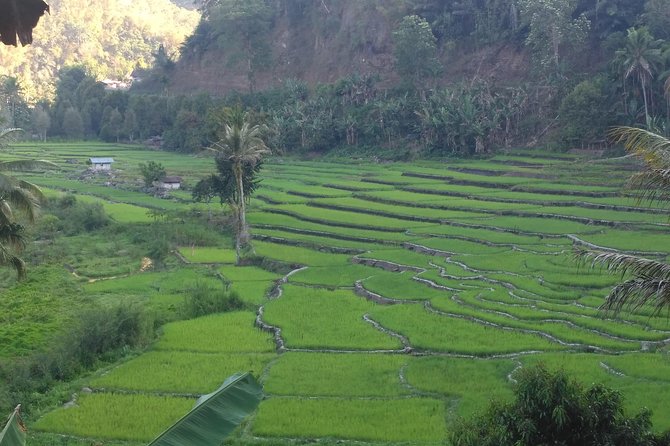 Pauls Flores Tour Labuan Bajo to Ende Flores Land Tour inland by Car 6 Days - Day 3: Riung 17 morning rhythm, Bena village, and Malanage hot springs