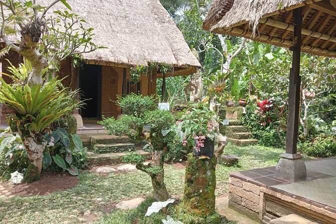 Penglipuran Village Waterfall Swing Private Guided Tour - Price and What $29.33 Really Buys You